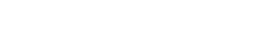STA Link Limited’s logo